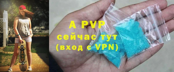 шишки Новодвинск