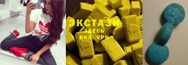 шишки Новодвинск