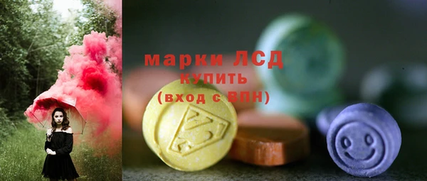 шишки Новодвинск