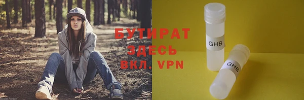 шишки Новодвинск