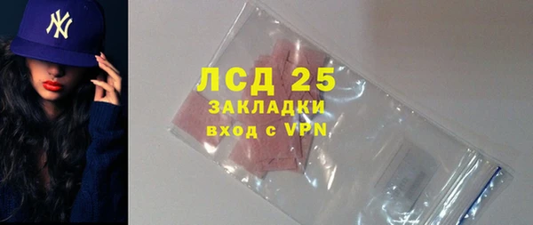 шишки Новодвинск