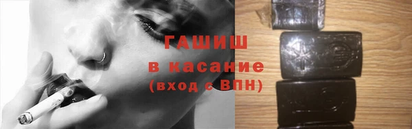 шишки Новодвинск