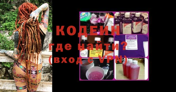 шишки Новодвинск