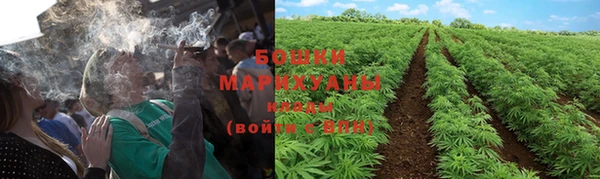 ALPHA PVP Новозыбков