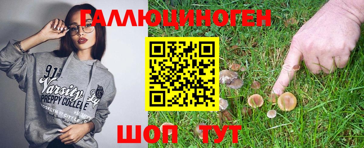 Псилоцибиновые грибы Magic Shrooms  где купить наркоту  Североморск  Вход с VPN 